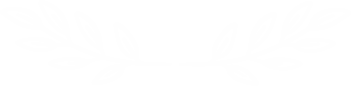 01 4.png