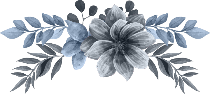 Asset 6.png